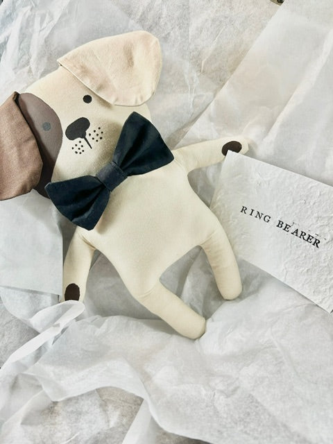 Ring Bearer Gift